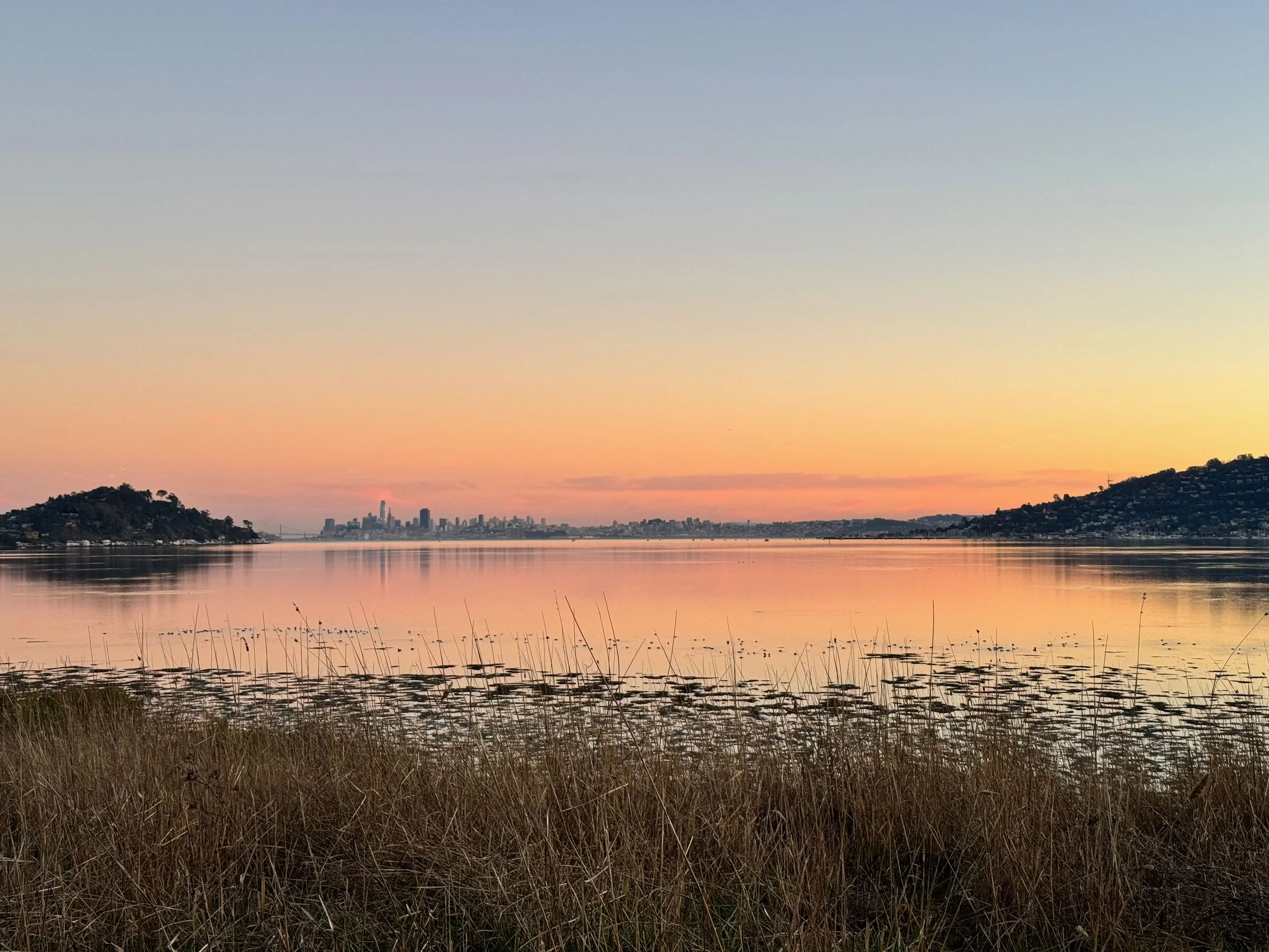 A scenic view of the San Francisco Bay during sunset with the city skyline in the distance, hills on either side, and tall grasses in the foreground